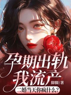 池念司君礼全章节免费阅读 主角孕期出轨我流产，二婚当天你疯什么完结版