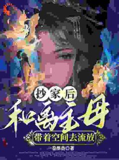 抄家后,和离主母带着空间去流放