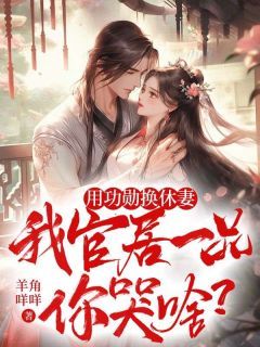 《用功勋换休妻，我官居一品你哭啥？》小说章节目录在线试读  第5章