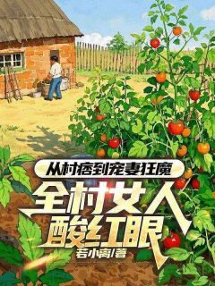 江辰沈如玉小说全集免费免费试读（从村痞到宠妻狂魔，全村女人酸红眼）