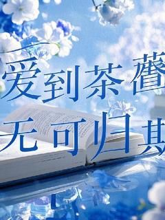 乔念安林烬小说 《爱到荼蘼，无可归期》小说全文精彩试读
