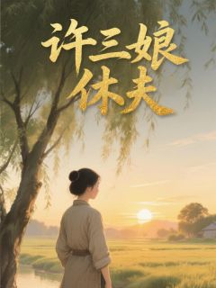 《许三娘休夫》许三娘明文理明致远章节目录在线阅读 许三娘休夫第19章