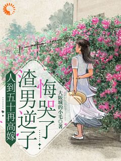 《吴晓辉王慧芳》小说大结局免费阅读 人到五十再高嫁，渣男逆子悔哭了小说全文