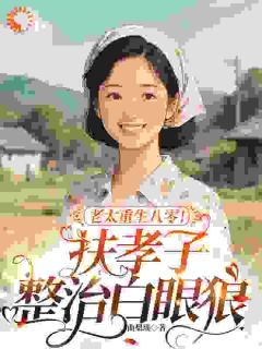 《老太重生八零！扶孝子整治白眼狼》小说全文免费阅读 林清如杜景风小说阅读