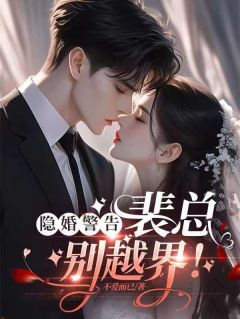 隐婚警告：裴总，别越界！完整目录在线阅读 (漆与墨裴述) 大结局无弹窗