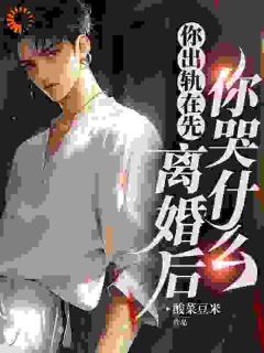 《江凡顾清雪》小说章节目录免费阅读 你出轨在先，离婚后你哭什么小说全文