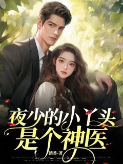 许知意夜南辞全本资源 夜少的小丫头是个神医完整未删减版
