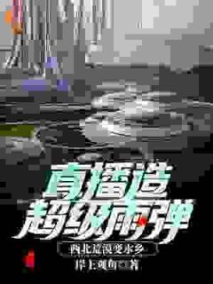 《陈宇李柔》小说章节列表免费阅读 直播造超级雨弹，西北荒漠变水乡小说阅读