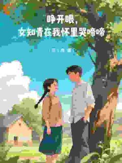 江辰沈如玉完整全文阅读 睁开眼，女知青在我怀里哭啼啼小说结局无删节