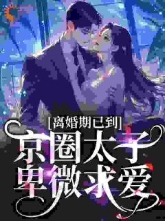 离婚期已到！京圈太子卑微求爱主角沈青瓷席星野第4章全文章节免费试读
