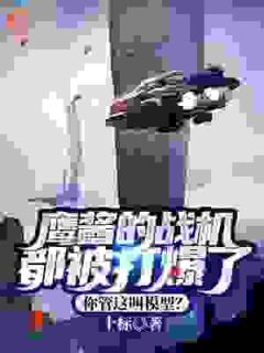《鹰酱的战机都被打爆了，你管这叫模型？》大结局精彩阅读 《鹰酱的战机都被打爆了，你管这叫模型？》最新章节列表