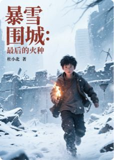 暴雪围城：最后的火种小说试读_林宇陈雪小说全文章节列表