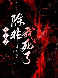 《分手？除非我死了》小说章节目录免费试读 于舒宝陈津南小说全文