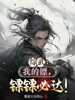 《综武之我的镖，镖镖必达》林枫陆小凤章节在线试读