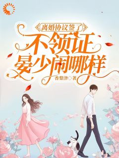 《时苒晏承南》离婚协议签了不领证，晏少闹哪样小说精彩内容免费试读