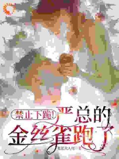 娱乐公司想榨我？老板却私下求复合小说 《苏简严少彦》小说全文在线试读