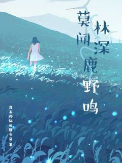 莫闻林深鹿野鸣完整版 沈川鹿绫洛雨柔全章节阅读