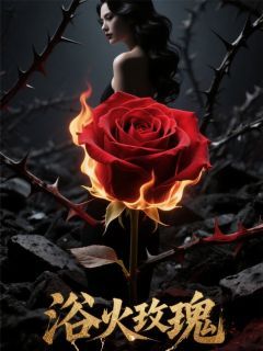 《浴火的玫瑰》小说全文精彩阅读 张宇天夏语橙小说全文
