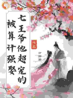 《苏予卿淳于燕》陷入皇权博弈？我反手和王爷合作大结局在线试读