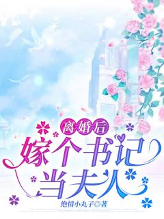 离婚后，嫁个书记当夫人免费阅读(宋安宁江河全本资源) 无广告