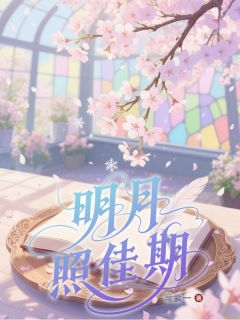 贝翎舒心明月照佳期精彩章节在线阅读
