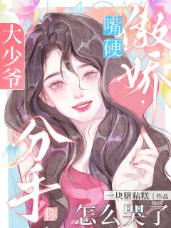 大少爷嘴硬傲娇，分手你怎么哭了全文免费试读 沈时霜谈行野小说全本无弹窗