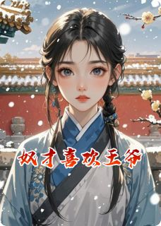 奴才喜欢王爷辰王婉儿目录 奴才喜欢王爷小说阅读