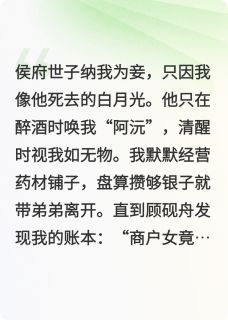 苏锦书顾砚舟(锦书难托)全文完结免费试读精彩章节