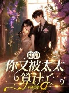 陆总，你又被太太算计了康荏苒陆士安全本在线阅读