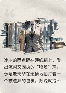 造价女王全文免费试读 苏晚陆沉小说全本无弹窗