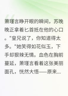 萧瑾言苏晚晚主角重生后，我送太子哥上了断头台全文精彩内容在线试读