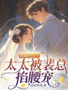 离婚吧沈少，太太被裴总掐腰宠主角宋凝裴轻寒全文精彩内容在线试读