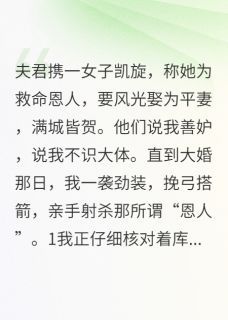 《红缨沈昭苏晚卿》小说全文精彩试读 善妒正妻精选章节
