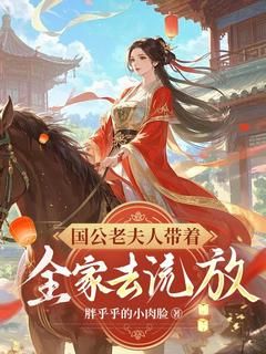 国公老夫人带着全家去流放精彩章节 沈静淑季忠孝第1章 穿越全章节阅读