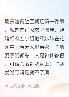 念君迟迟归小说完整版在线阅读（主角段云渡江念仪江禾霜）