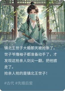 主角是段行俞福镇北王的小说在哪看 《抢亲后我把世子囚禁了》小说阅读入口