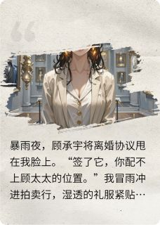《苏晚陆沉舟》小说大结局精彩阅读 离婚夜，大佬递伞又递婚戒小说全文