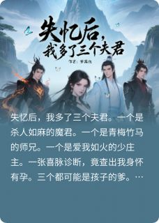 失忆后，我多了三个夫君风鸾凌夜寒墨尘完整篇在线阅读