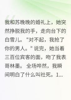 婚宴上，妻子吻了表弟苏晚晚白雪儿林浩全文免费试读