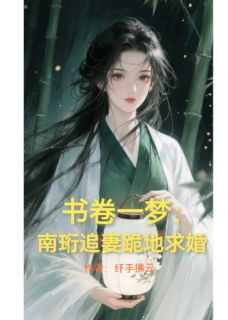 《书卷一梦：南珩追妻跪地求婚》小说章节列表精彩试读 南珩宋一汀小说阅读