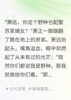《庶子之怒，天地色变》小说章节列表精彩试读 萧远苏婉儿小说全文