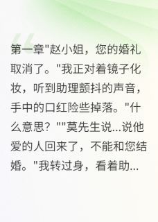 好书推荐《江辞雨桐莫景深》影帝前妻改嫁小鲜肉全文免费试读