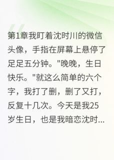 沈时川白初雪小说全文精彩章节在线阅读（你是我十年的秘密）