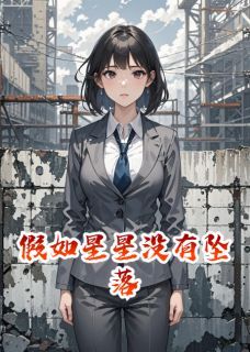 《假如星星没有坠落》小说完结版精彩试读 苏念陆屿深秦风小说全文