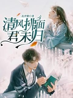 新书《清风拂面，君未归》小说全集阅读 乔如华景舟小说免费精彩章节全文