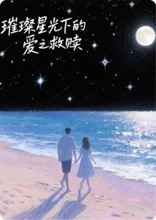 《苏晚陆沉舟》小说章节列表在线阅读 璀璨星光下的爱之救赎小说全文