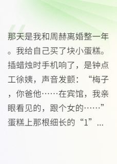 我爸的小三，是我前夫的妈完整全文阅读 周蓉佟建业周赫结局无删节