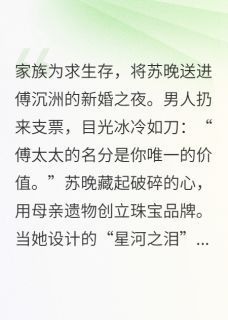 冷婚暖爱：傅总的珠宝女王苏晚傅沉洲目录 冷婚暖爱：傅总的珠宝女王小说阅读