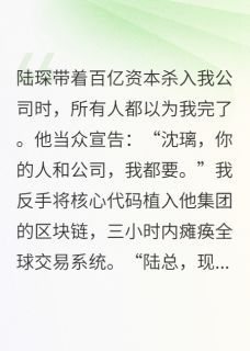 《代码女王驯服资本巨鳄》沈璃陆琛小说精彩章节免费试读