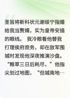 赘婿的品格 谢绥宁林栖迟完结版在线阅读